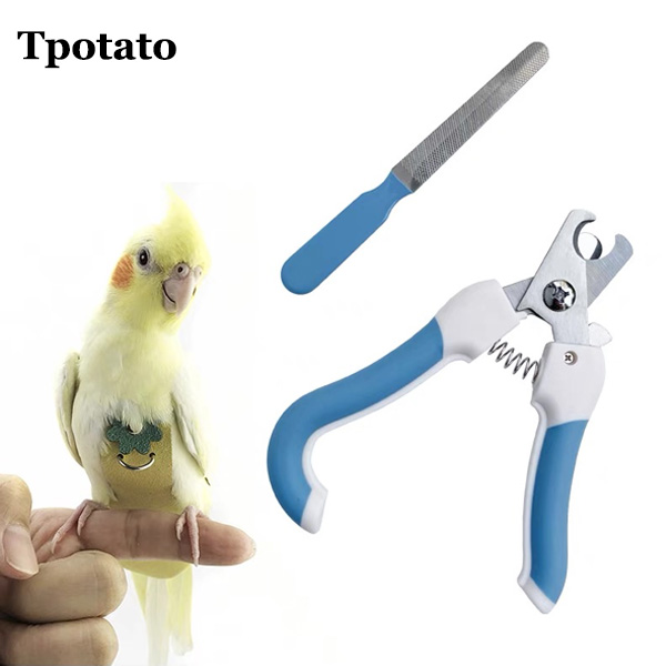 Tpotato Parrot Nail Clipper Bird Paw Nail Tip Bird Supplies Bird Nail Clipper Pet Obtuse Scissors
